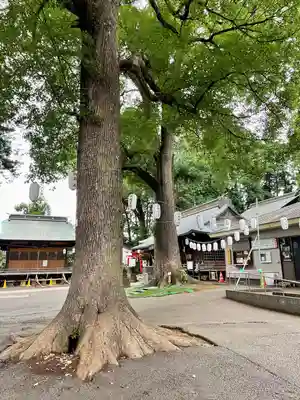 西堀氷川神社(埼玉県)