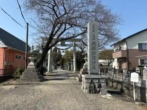 彌都加伎神社の{uncategorized: "未分類", other: "その他", undefined: "問題あり", building: "その他建物", grave: "お墓", sacred_gate: "鳥居", guardian: "狛犬", statue: "像", buddha: "仏像", history: "歴史", nature: "自然", garden: "庭園", animal: "動物", pagoda: "塔", temizu: "手水舎", mountain_gate: "山門・神門", sanctuary: "本殿・本堂", subordinate: "末社・摂社", art: "芸術", scenery: "景色", jizo: "地蔵", ema: "絵馬", goshuin: "御朱印", omikuji: "おみくじ", items: "授与品その他", amulet: "お守り", goshuincho: "御朱印帳", eats: "食事", festival: "お祭り", votive_dance: "神楽", shichigosan: "七五三参", wedding: "結婚式", experience: "体験その他", initially: "初詣", around: "周辺", anti_infection: "感染症対策"}