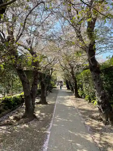 極楽寺（霊鷲山感應院極楽律寺）の景色