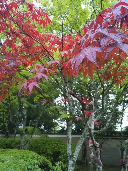 酬恩庵一休寺(京都府)