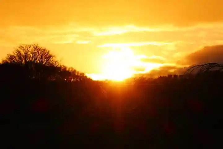 阿久津「田村神社」(郡山市阿久津町)旧社名:伊豆箱根三嶋三社の自然