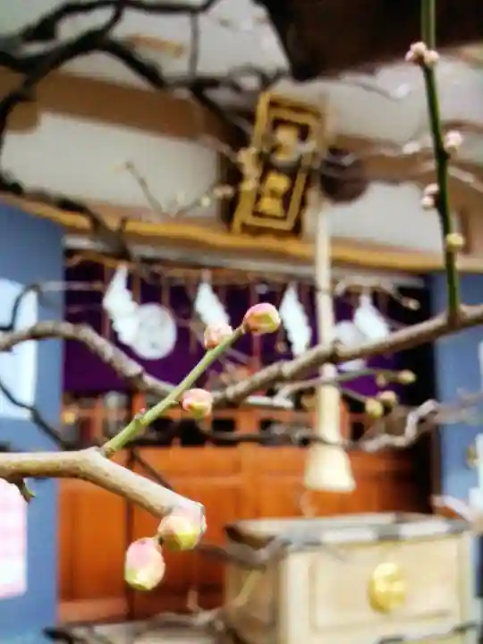 穏田神社(東京都)