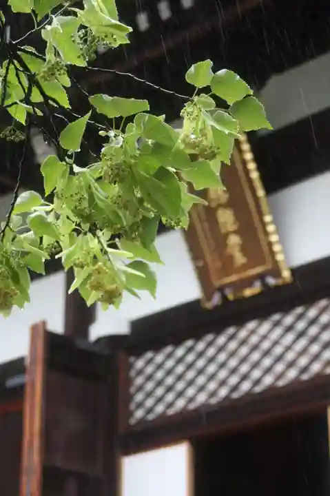 くろ谷 金戒光明寺(京都府)