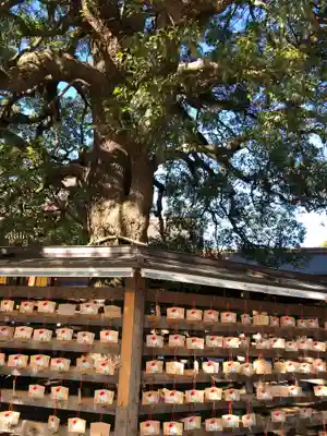 明治神宮の絵馬