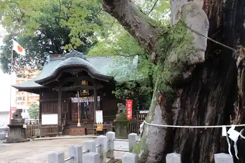 阿邪訶根神社の本殿