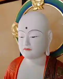 普門寺(切り絵御朱印発祥の寺)(愛知県)(2022年01月11日(火) 20時57分25秒投稿)