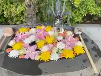 駒込妙義神社の御朱印