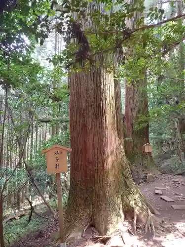 幣立神宮(熊本県)