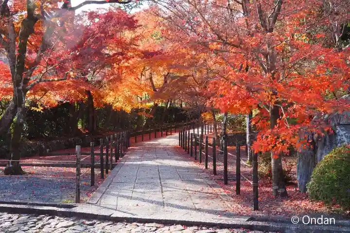 光明寺(粟生光明寺)(京都府)