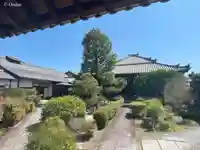 專稱寺(専称寺)(京都府)