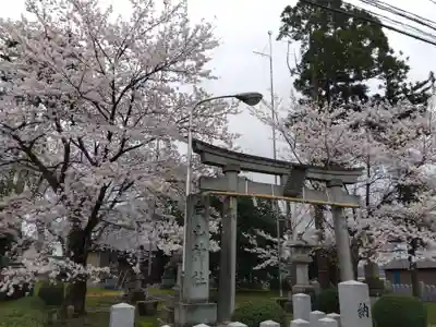 白山神社(福井県)