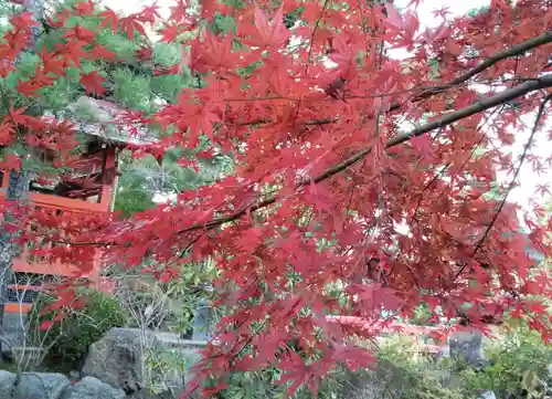 高幡不動尊　金剛寺の自然