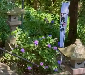 蚊里田八幡宮(長野県)(2025年07月09日(水) 15時56分17秒投稿)