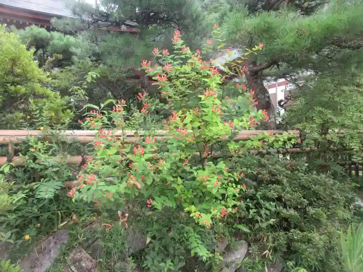 青龍山 吉祥寺(群馬県)
