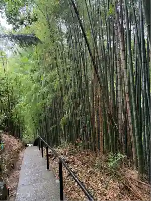 神龍八大龍王神社(熊本県)