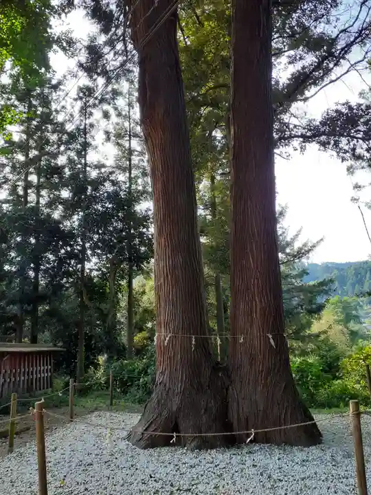刈田嶺神社の自然