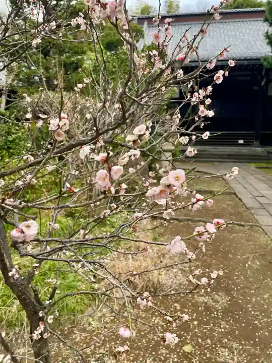 臨江寺の{uncategorized: "未分類", other: "その他", undefined: "問題あり", building: "その他建物", grave: "お墓", sacred_gate: "鳥居", guardian: "狛犬", statue: "像", buddha: "仏像", history: "歴史", nature: "自然", garden: "庭園", animal: "動物", pagoda: "塔", temizu: "手水舎", mountain_gate: "山門・神門", sanctuary: "本殿・本堂", subordinate: "末社・摂社", art: "芸術", scenery: "景色", jizo: "地蔵", ema: "絵馬", goshuin: "御朱印", omikuji: "おみくじ", items: "授与品その他", amulet: "お守り", goshuincho: "御朱印帳", eats: "食事", festival: "お祭り", votive_dance: "神楽", shichigosan: "七五三参", wedding: "結婚式", experience: "体験その他", initially: "初詣", around: "周辺", anti_infection: "感染症対策"}