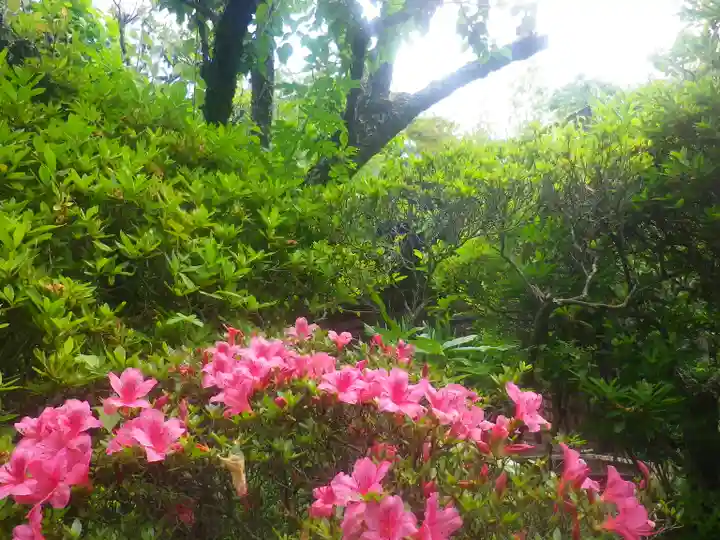 浄光明寺の自然