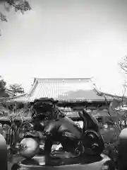 豪徳寺の狛犬