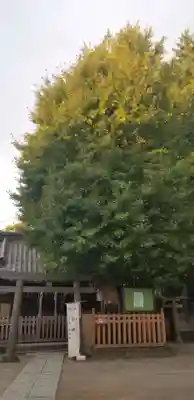 柳原稲荷神社の鳥居