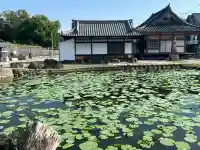 家原寺の{uncategorized: "未分類", other: "その他", undefined: "問題あり", building: "その他建物", grave: "お墓", sacred_gate: "鳥居", guardian: "狛犬", statue: "像", buddha: "仏像", history: "歴史", nature: "自然", garden: "庭園", animal: "動物", pagoda: "塔", temizu: "手水舎", mountain_gate: "山門・神門", sanctuary: "本殿・本堂", subordinate: "末社・摂社", art: "芸術", scenery: "景色", jizo: "地蔵", ema: "絵馬", goshuin: "御朱印", omikuji: "おみくじ", items: "授与品その他", amulet: "お守り", goshuincho: "御朱印帳", eats: "食事", festival: "お祭り", votive_dance: "神楽", shichigosan: "七五三参", wedding: "結婚式", experience: "体験その他", initially: "初詣", around: "周辺", anti_infection: "感染症対策"}