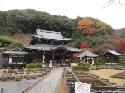 三室戸寺(京都府)