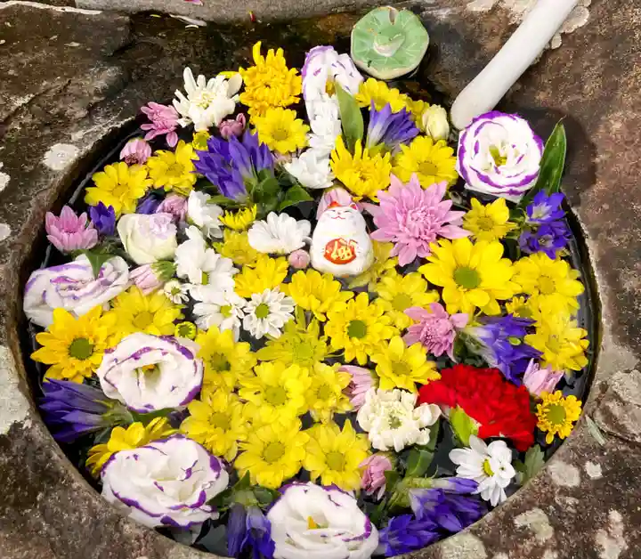 真言宗 善通寺派 薬王寺(香川県)