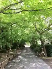 高円寺の建物その他