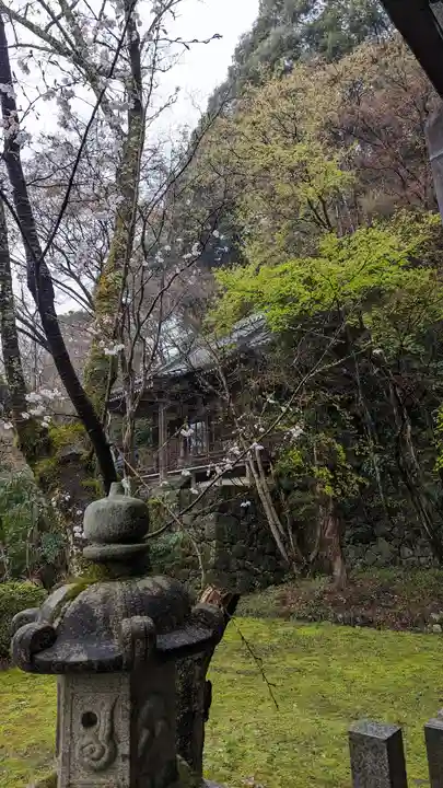 勝持寺(花の寺)(京都府)