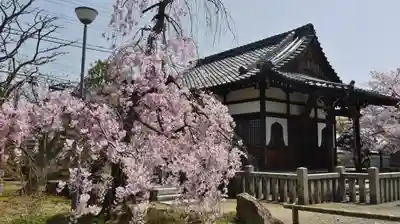 上品蓮台寺のその他建物