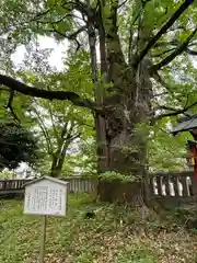 一之宮貫前神社(群馬県)