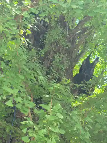 飛木稲荷神社(東京都)