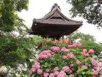 能護寺のその他建物