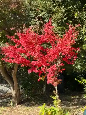 大仁神社(静岡県)