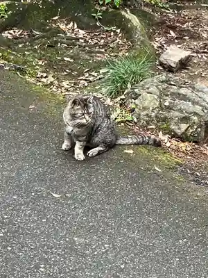 唐澤山神社(栃木県)
