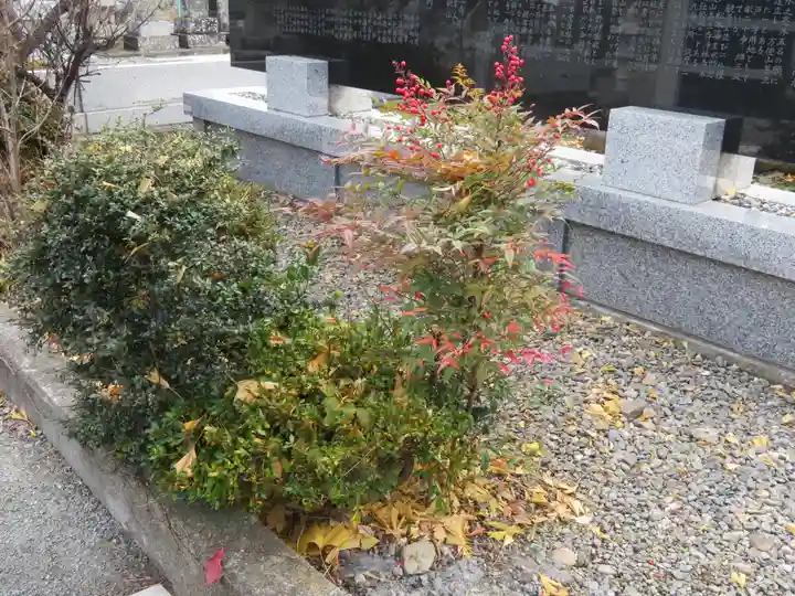 浄土宗善立寺の自然