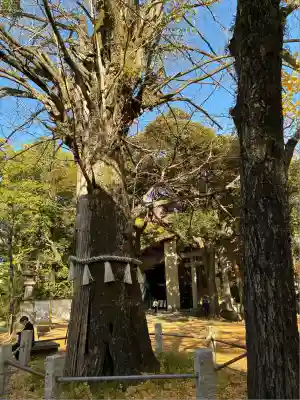 赤坂氷川神社(東京都)