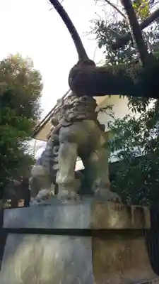 赤坂氷川神社の狛犬