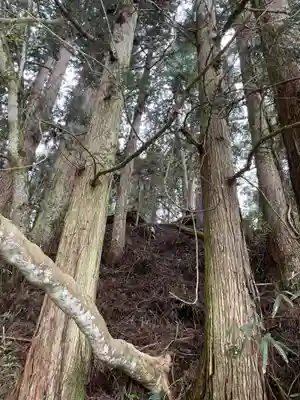 正一位白髭稲荷大明神(和歌山県)