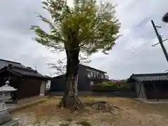 熊野神社(兵庫県)