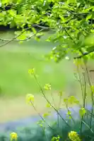 浄土寺(兵庫県)