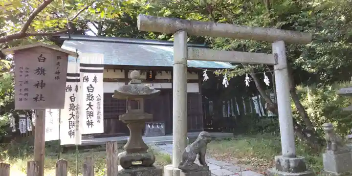 白旗神社(西御門)(神奈川県)