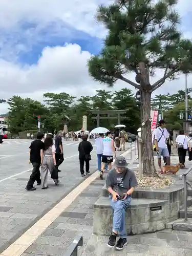 出雲大社(島根県)