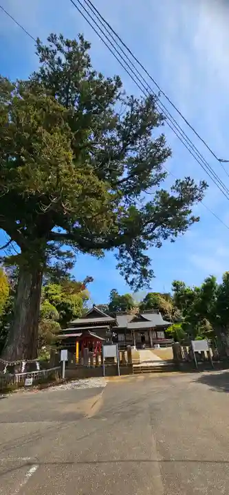 松澤 熊野神社の{uncategorized: "未分類", other: "その他", undefined: "問題あり", building: "その他建物", grave: "お墓", sacred_gate: "鳥居", guardian: "狛犬", statue: "像", buddha: "仏像", history: "歴史", nature: "自然", garden: "庭園", animal: "動物", pagoda: "塔", temizu: "手水舎", mountain_gate: "山門・神門", sanctuary: "本殿・本堂", subordinate: "末社・摂社", art: "芸術", scenery: "景色", jizo: "地蔵", ema: "絵馬", goshuin: "御朱印", omikuji: "おみくじ", items: "授与品その他", amulet: "お守り", goshuincho: "御朱印帳", eats: "食事", festival: "お祭り", votive_dance: "神楽", shichigosan: "七五三参", wedding: "結婚式", experience: "体験その他", initially: "初詣", around: "周辺", anti_infection: "感染症対策"}