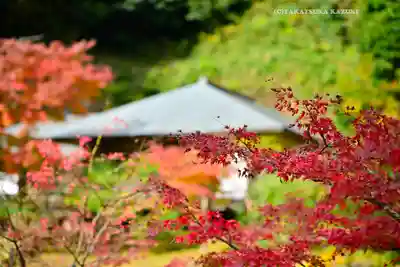 円覚寺(神奈川県)
