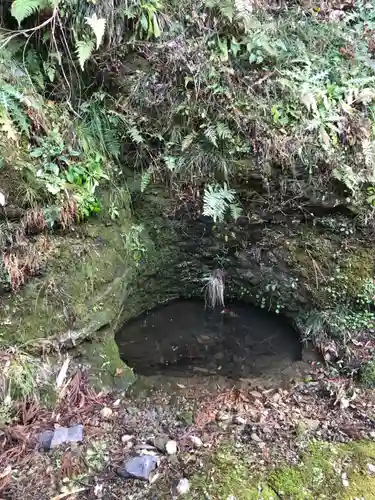 八幡神社の自然