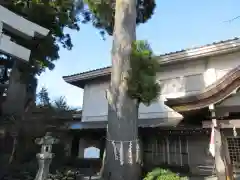 富士山東口本宮 冨士浅間神社の自然