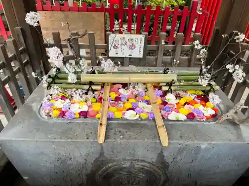下谷神社の{uncategorized: "未分類", other: "その他", undefined: "問題あり", building: "その他建物", grave: "お墓", sacred_gate: "鳥居", guardian: "狛犬", statue: "像", buddha: "仏像", history: "歴史", nature: "自然", garden: "庭園", animal: "動物", pagoda: "塔", temizu: "手水舎", mountain_gate: "山門・神門", sanctuary: "本殿・本堂", subordinate: "末社・摂社", art: "芸術", scenery: "景色", jizo: "地蔵", ema: "絵馬", goshuin: "御朱印", omikuji: "おみくじ", items: "授与品その他", amulet: "お守り", goshuincho: "御朱印帳", eats: "食事", festival: "お祭り", votive_dance: "神楽", shichigosan: "七五三参", wedding: "結婚式", experience: "体験その他", initially: "初詣", around: "周辺", anti_infection: "感染症対策"}