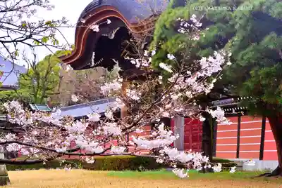 総持寺(神奈川県)