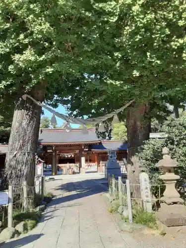 亀ケ池八幡宮(神奈川県)
